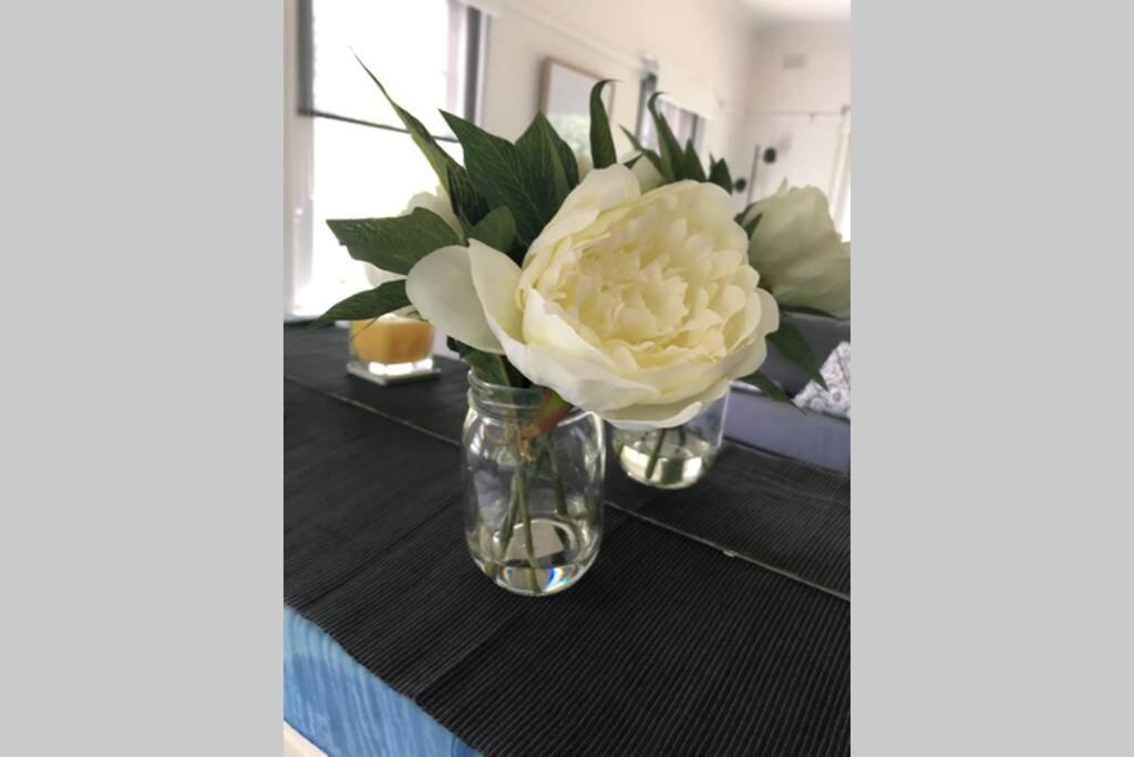 East Melbourne City Studio - Amazing Location & Sunny Charm Apartment Ngoại thất bức ảnh